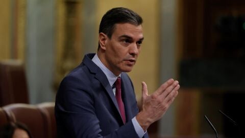 El presidente del Gobierno, Pedro S&aacute;nchez, durante su intervenci&oacute;n en el Congreso este mi&eacute;rcoles.