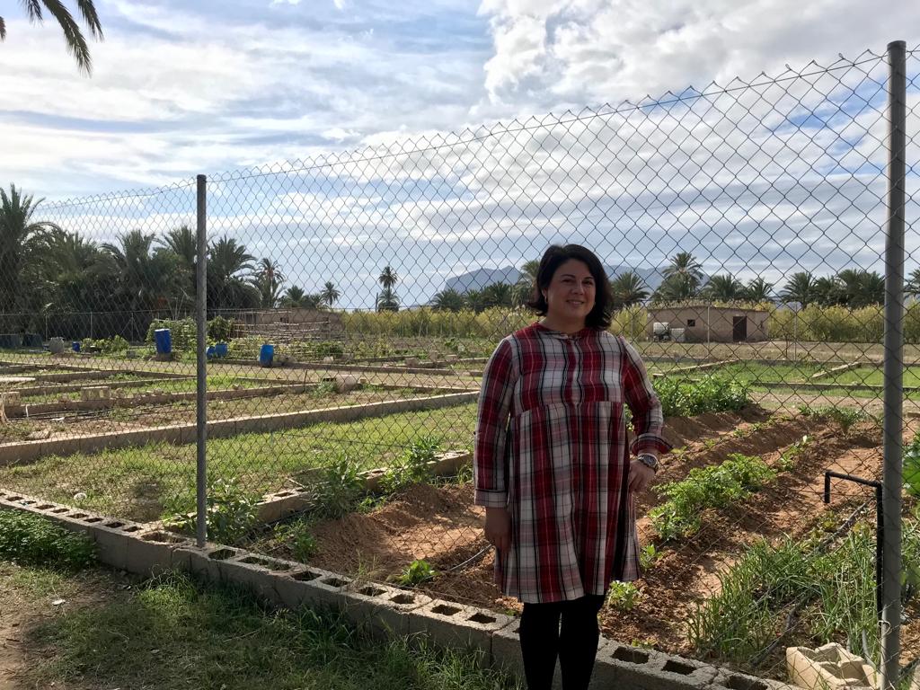 Medio Ambiente abre el plazo de adjudicación de las parcelas del Huerto Urbano Medio Ambiente abre el plazo de adjudicación de las parcelas del Huerto Urbano