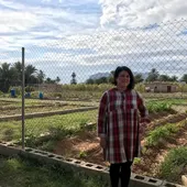 Medio Ambiente abre el plazo de adjudicación de las parcelas del Huerto Urbano Medio Ambiente abre el plazo de adjudicación de las parcelas del Huerto Urbano
