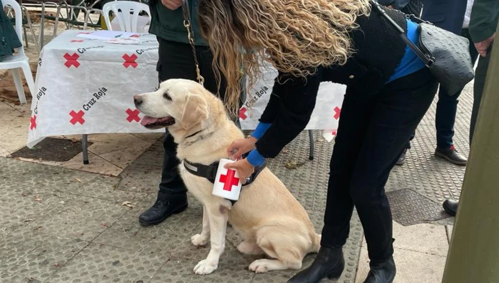 Cruz Roja por las calles de Castelló