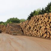 O uso da madeira na construción beneficia o monte, a industria e o consumidor