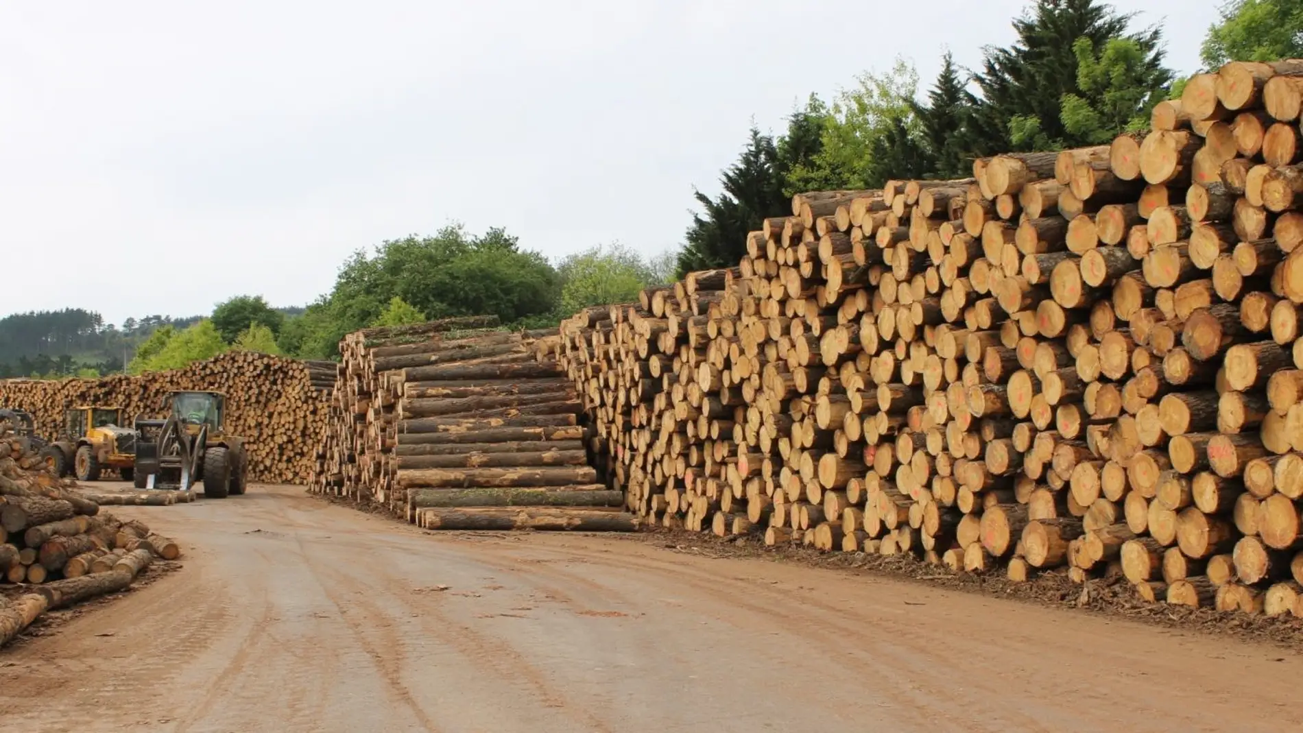 O uso da madeira na construción beneficia o monte, a industria e o consumidor