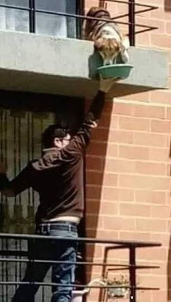 Vecino dando agua a un perro