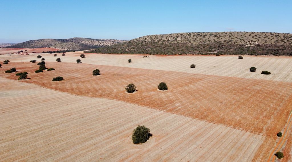 "Únete y restaura", voluntariado medio ambiental en Valdepeñas "Únete y restaura", voluntariado medio ambiental en Valdepeñas