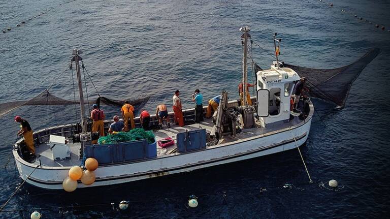 Pablo Almansa dirige "Los Almadrabos" Pablo Almansa dirige "Los Almadrabos"