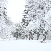 Jorge Rey avisa de fuertes nevadas este invierno: la nueva predicción del niño meteorólogo que avisó de Filomena