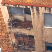 Perros en balcón