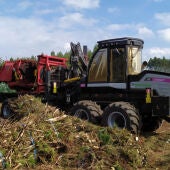 A Xunta destinará 260.000 € para xestionar a biomasa forestal en Cualedro e Monterrei