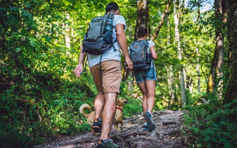 La AECC en Badajoz reanuda el proyecto 'Rutas saludables' para facilitar la adopción de hábitos de vida saludable La AECC en Badajoz reanuda el proyecto 'Rutas saludables' para facilitar la adopción de hábitos de vida saludable
