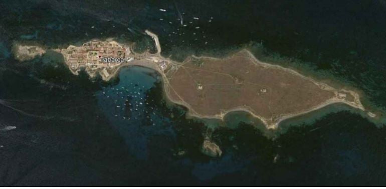 El Ayuntamiento embellece las plazas y jardines de Tabarca con nuevos árboles y especies vegetales adaptadas El Ayuntamiento embellece las plazas y jardines de Tabarca con nuevos árboles y especies vegetales adaptadas