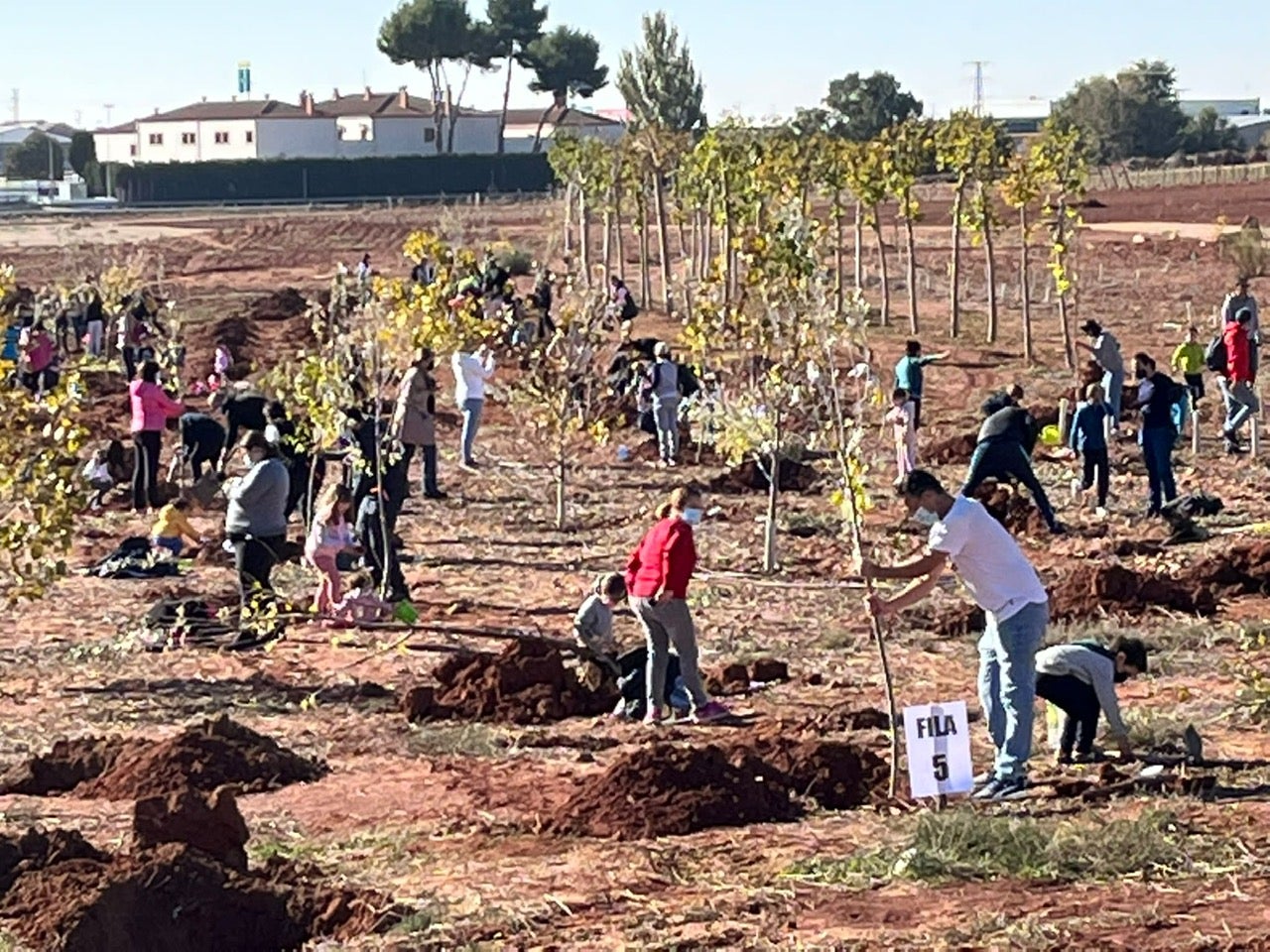 Más de 300 personas plantaron árboles y arbustos en el Bosque de la vida Más de 300 personas plantaron árboles y arbustos en el Bosque de la vida