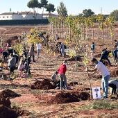 Más de 300 personas plantaron árboles y arbustos en el Bosque de la vida