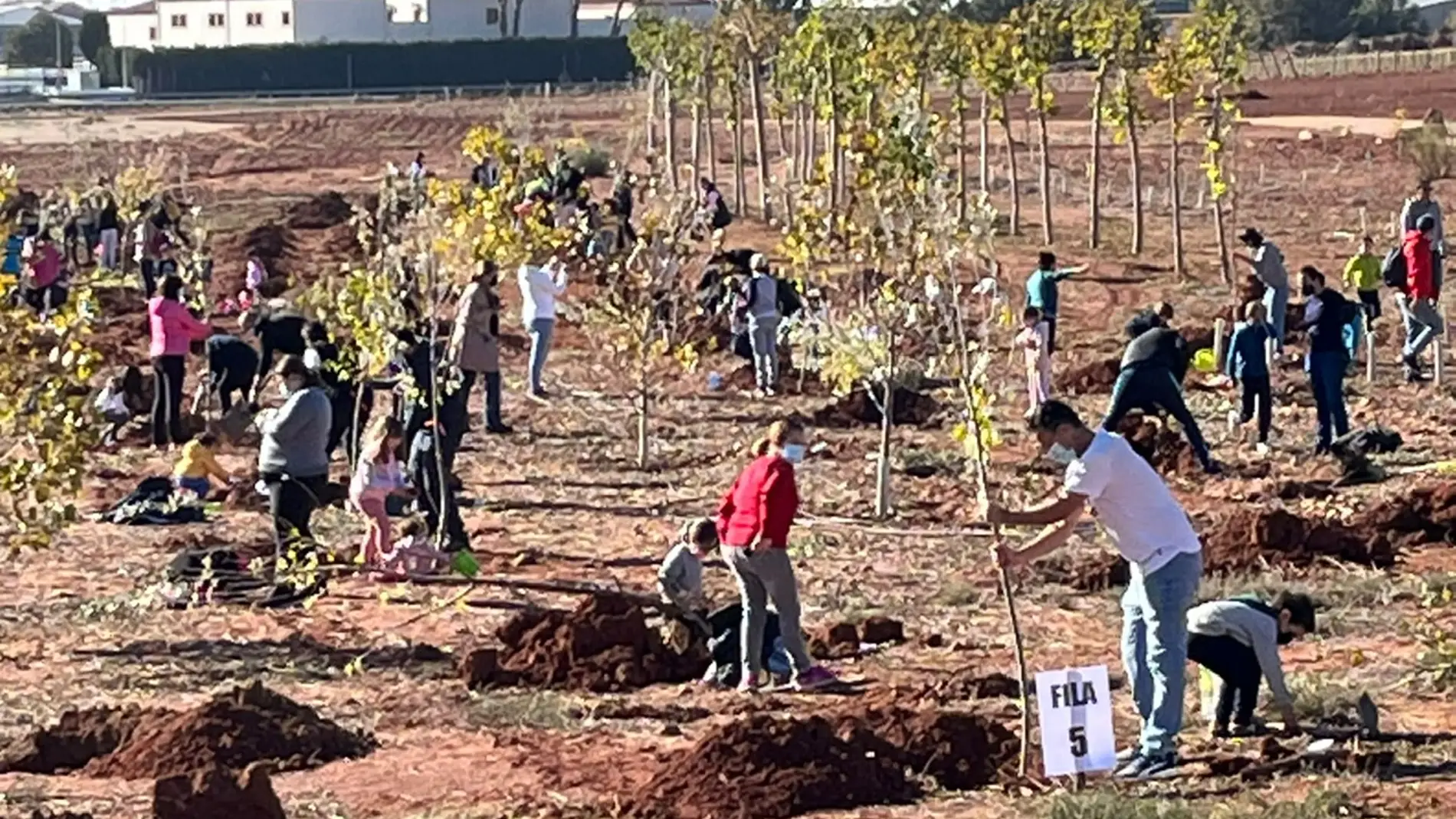 Más de 300 personas plantaron árboles y arbustos en el Bosque de la vida |  Onda Cero Radio