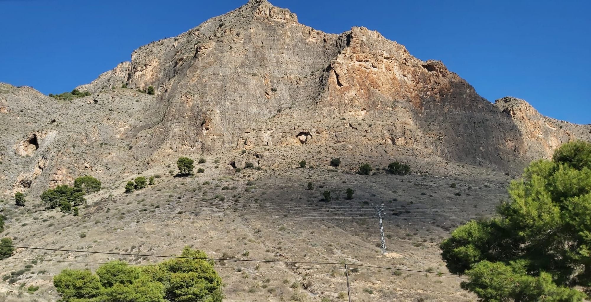 Medio Ambiente perderá 200.000 euros de los Fondos Europeos si no ejecuta la reforestación de la Sierra de manera inmediata Medio Ambiente perderá 200.000 euros de los Fondos Europeos si no ejecuta la reforestación de la Sierra de manera inmediata