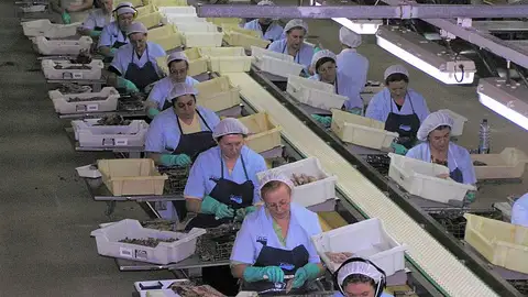 Fábrica conservas Fábrica conservas