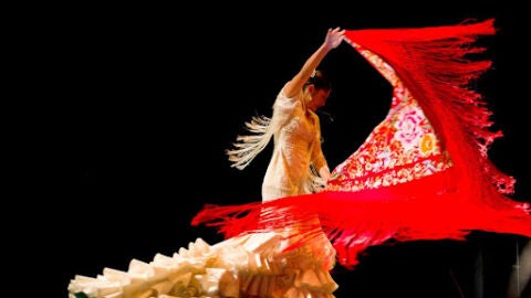 flamenco