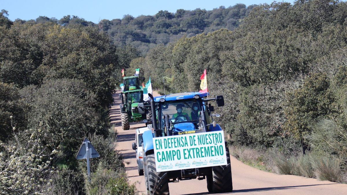 Noticias Mediodía Extremadura 14.20h Noticias Mediodía Extremadura 14.20h