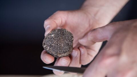 Trufa negra Trufa negra