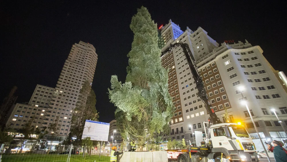 Árbol de Navidad de Plaza de España Árbol de Navidad de Plaza de España