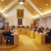 Pleno del Ayuntamiento de Ciudad Real celebrado este viernes Pleno del Ayuntamiento de Ciudad Real celebrado este viernes