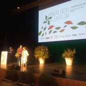 Acto de entrega de los premios "Andalucía en flor" 