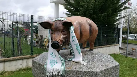 Cerdito de Guijuelo Cerdito de Guijuelo