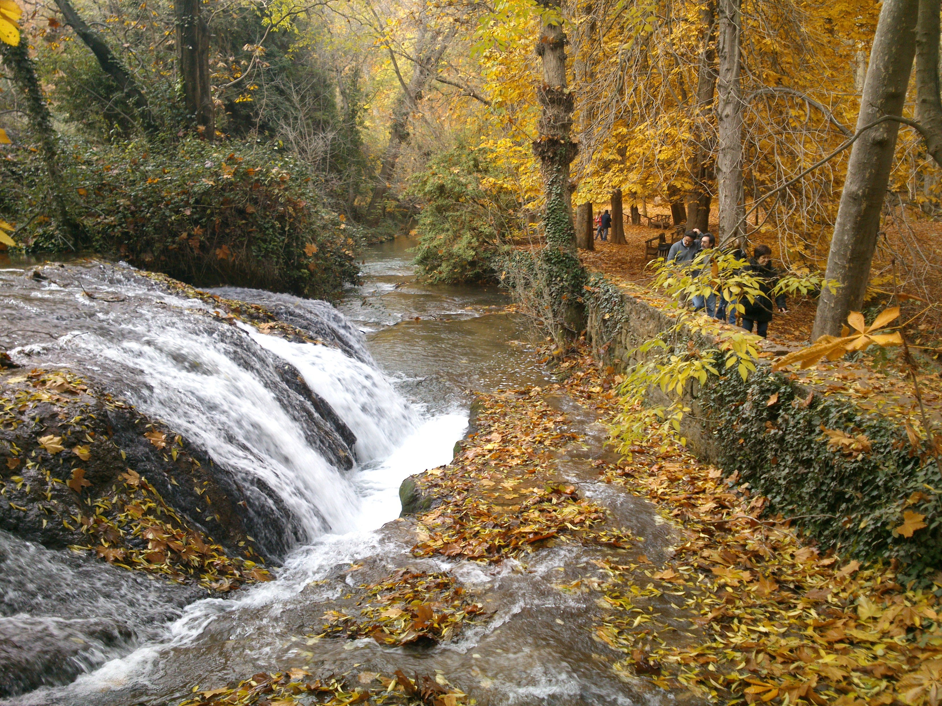 El otoño, una forma diferente de disfrutar del Monasterio de Piedra El otoño, una forma diferente de disfrutar del Monasterio de Piedra