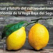 El Instituto Juan Gil Albert organizada una jornada informativa sobre la agroeconomía en la Vega Baja 