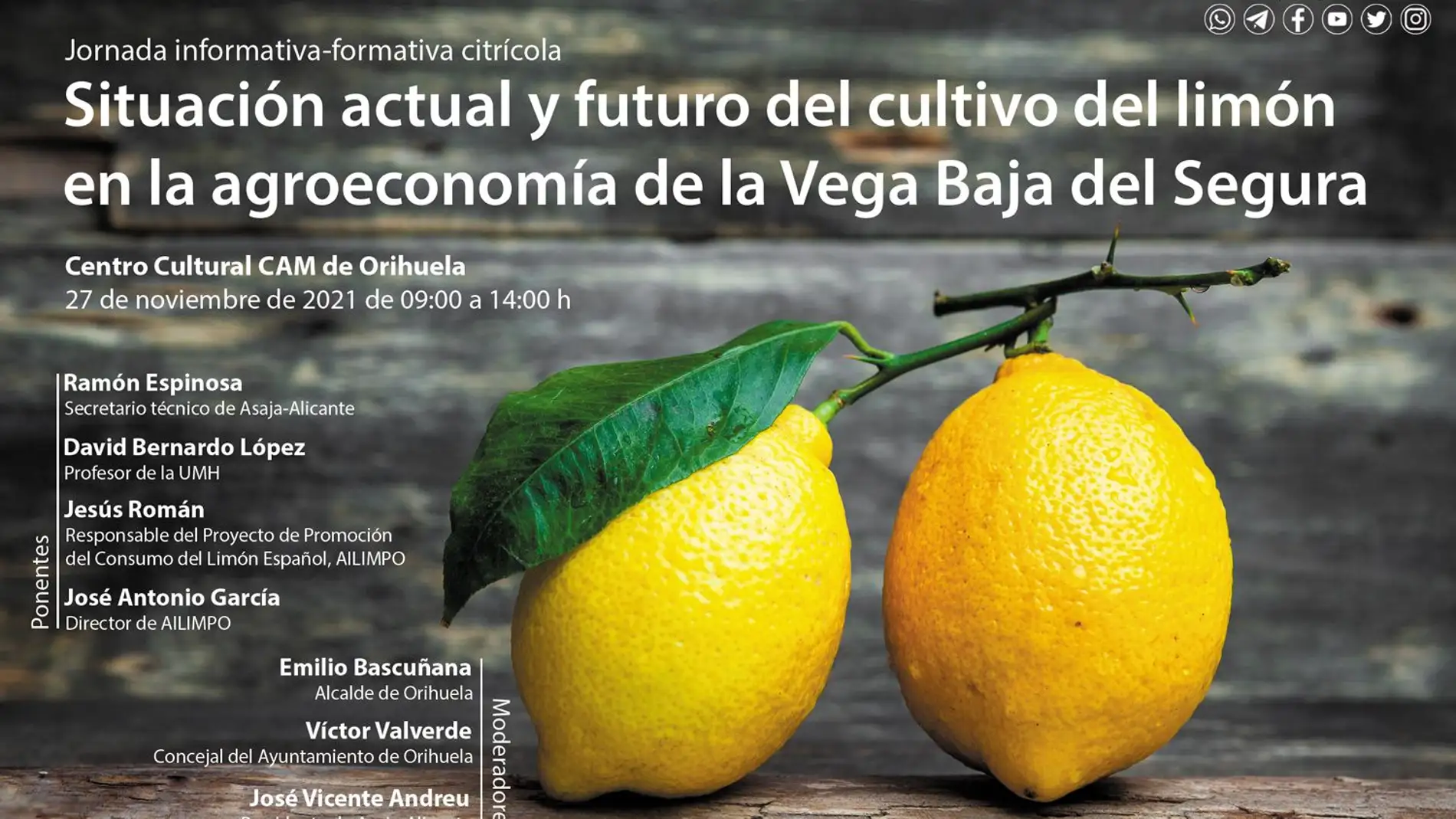 El Instituto Juan Gil Albert organizada una jornada informativa sobre la agroeconomía en la Vega Baja 