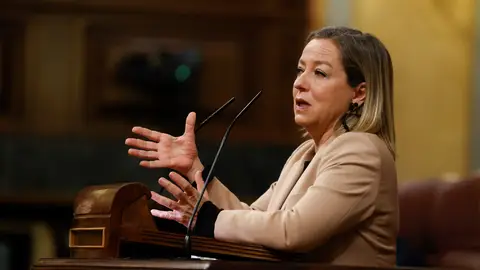 La diputada de Coalición Canaria, Ana Oramas. La diputada de Coalición Canaria, Ana Oramas.