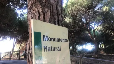 MONUMENTO NATURAL MONUMENTO NATURAL