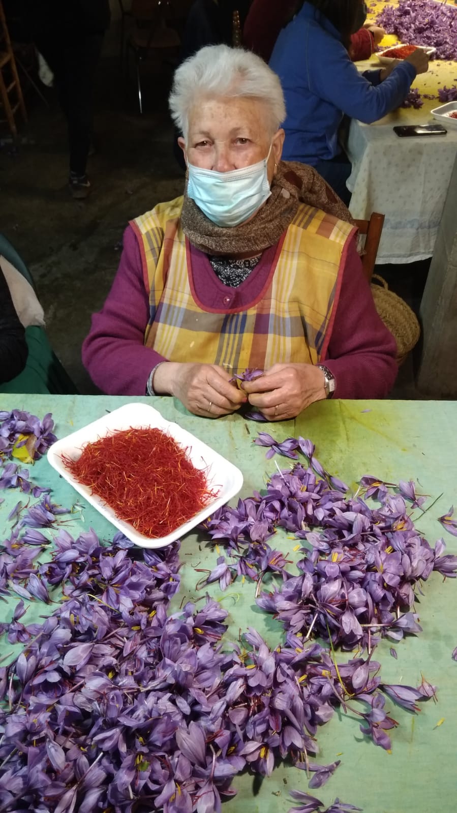 La flor del azafrán: una historia de amor con especias La flor del azafrán: una historia de amor con especias