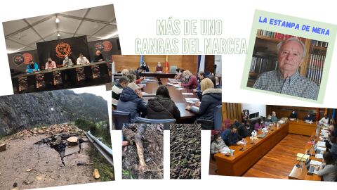 M&aacute;s de Uno Cangas del Narcea 29/11/2021