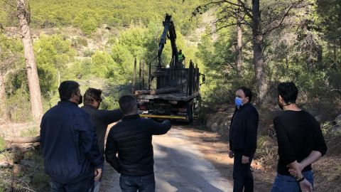 Cortafuegos en el Puig Campana Cortafuegos en el Puig Campana