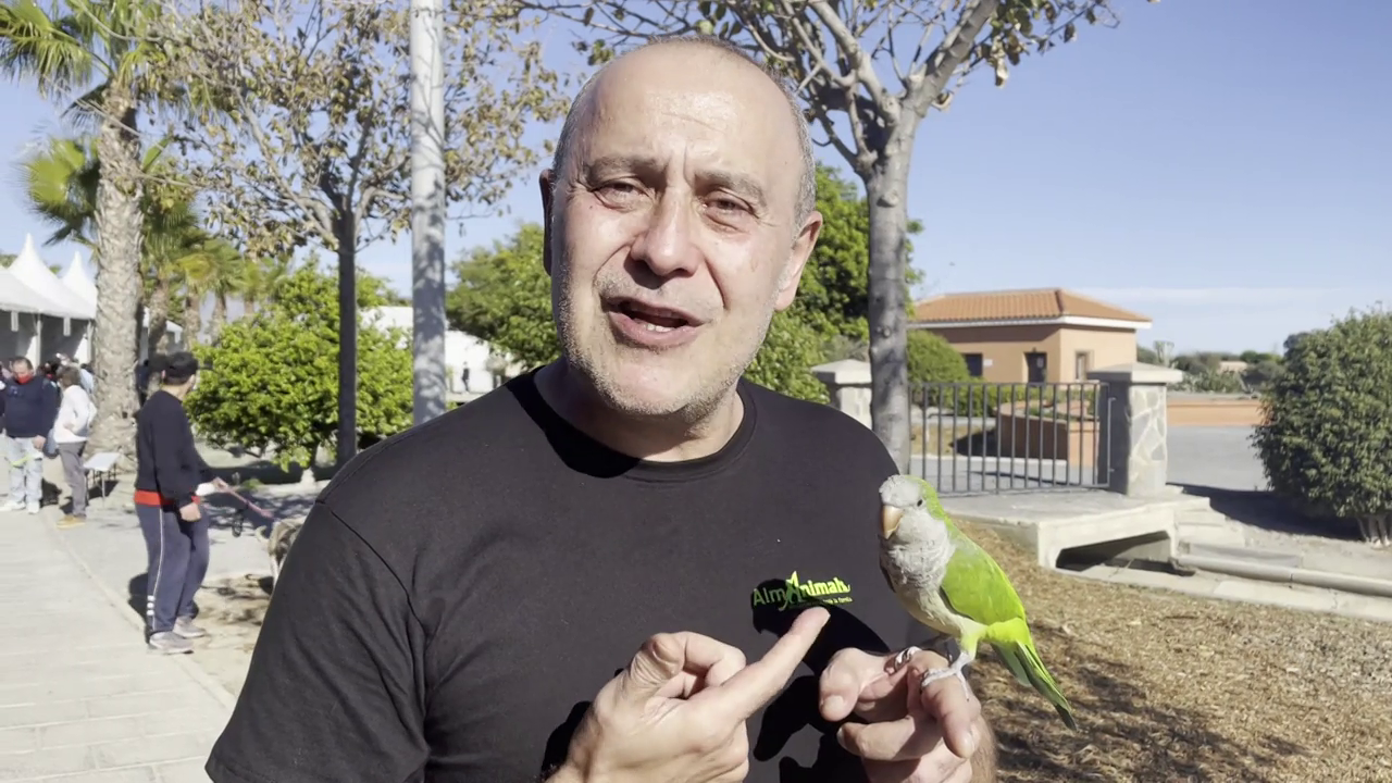 Carlos Rodríguez, sobre el exterminio de cotorras en Madrid: "Matar a estos animales es una aberración" Carlos Rodríguez, sobre el exterminio de cotorras en Madrid: "Matar a estos animales es una aberración"