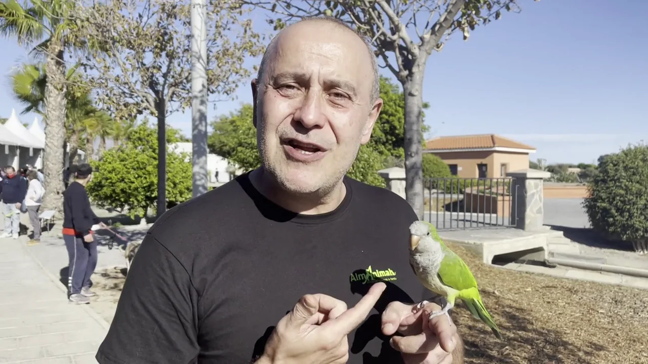 Carlos Rodríguez, sobre el exterminio de cotorras en Madrid: "Matar a estos animales es una aberración" Carlos Rodríguez, sobre el exterminio de cotorras en Madrid: "Matar a estos animales es una aberración"