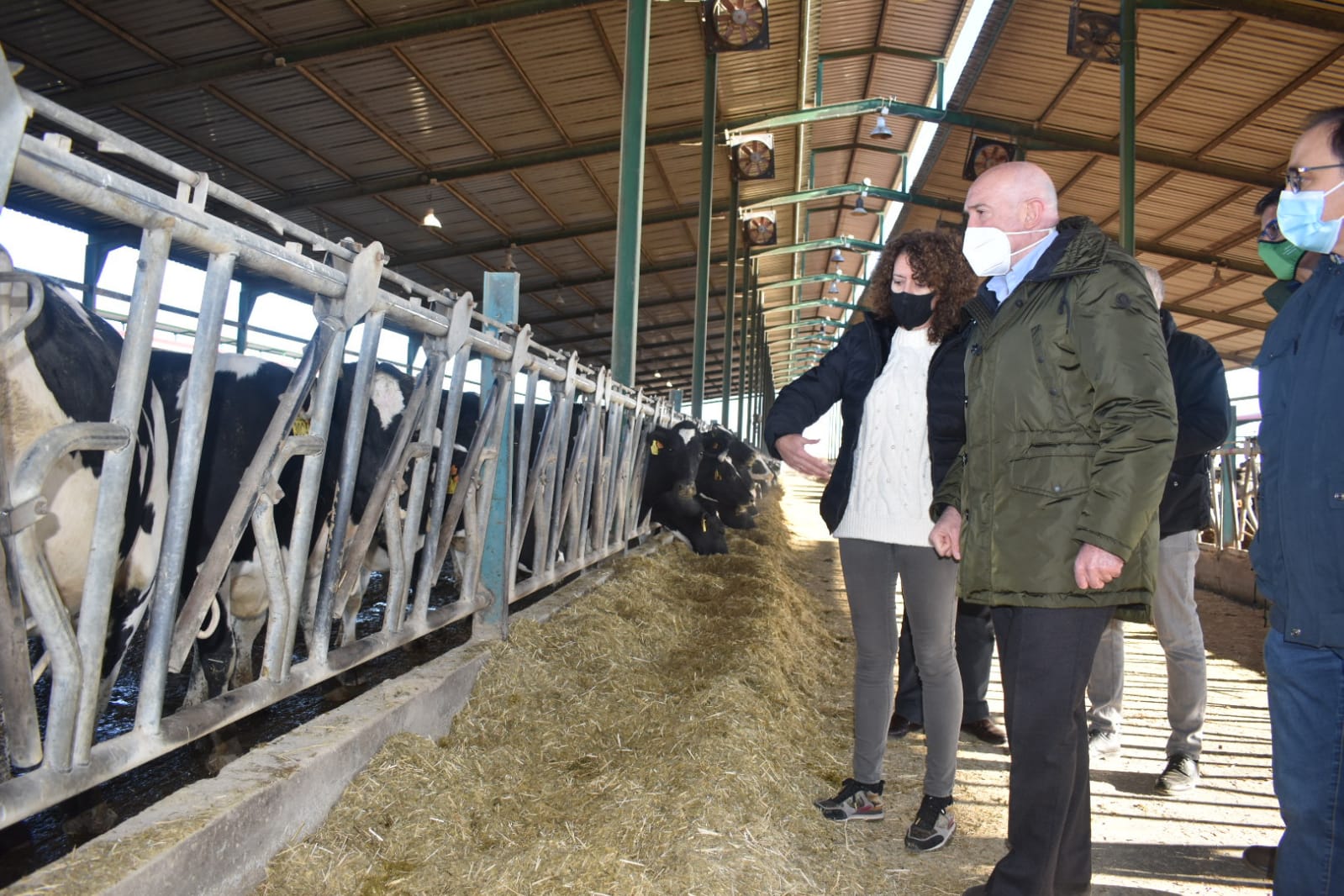 5,2 millones para paliar las pérdidas del vacuno de leche 5,2 millones para paliar las pérdidas del vacuno de leche