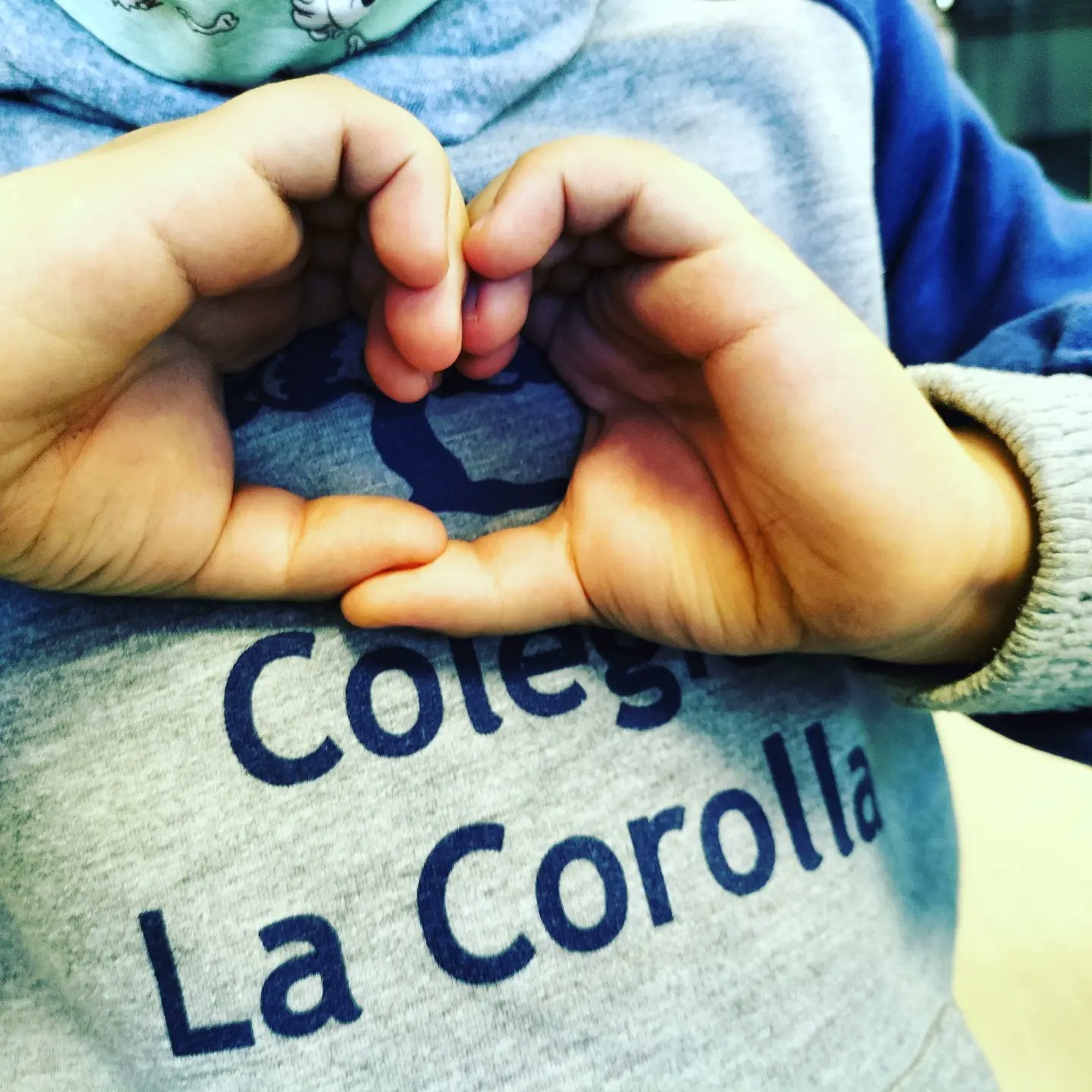 El Colegio de La Corolla se implica con la solidaridad El Colegio de La Corolla se implica con la solidaridad