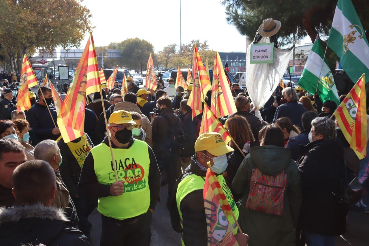 UAGA exige el cese del ministro Planas UAGA exige el cese del ministro Planas
