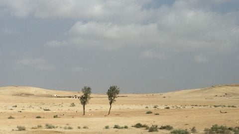 Desierto de Jordania