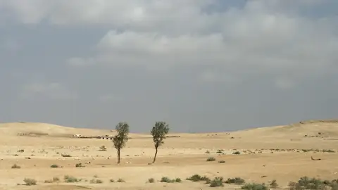 Desierto de Jordania Contraparte