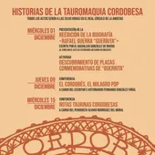 toros toros