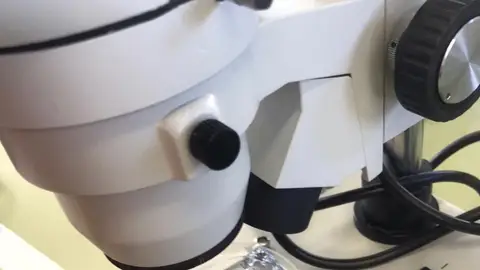 microscopio microscopio