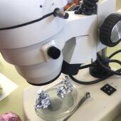 microscopio