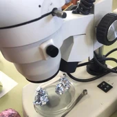 microscopio microscopio