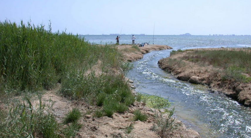 La Comisión Europea denuncia a España por no proteger sus aguas de la contaminación por nitratos agrarios La Comisión Europea denuncia a España por no proteger sus aguas de la contaminación por nitratos agrarios