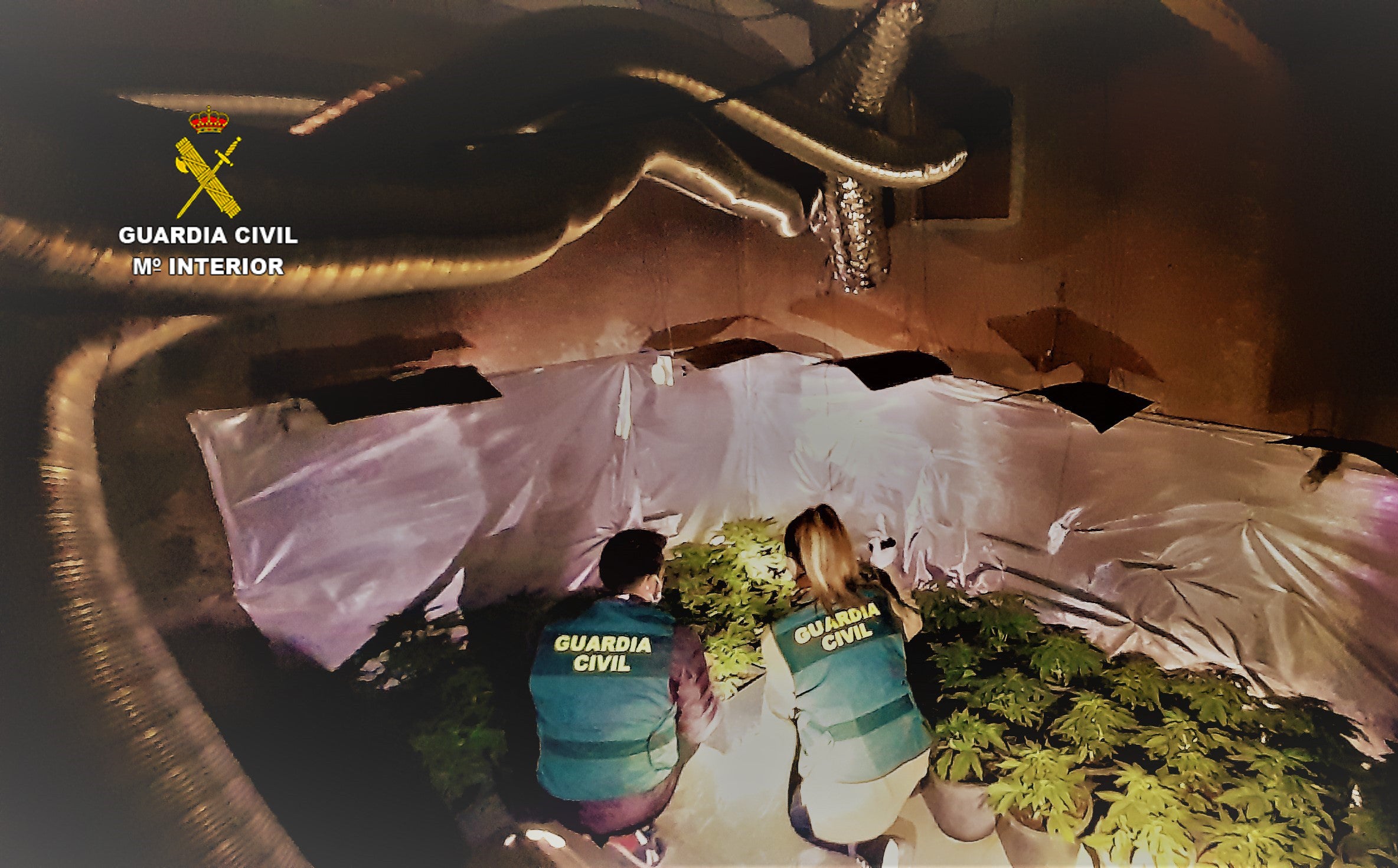 La Guardia Civil detiene a una persona por cultivo “indoor” de marihuana en Benicarló La Guardia Civil detiene a una persona por cultivo “indoor” de marihuana en Benicarló
