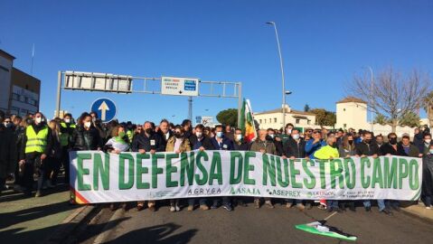 2000 agricultores y ganaderos recorren las calles de Mérida en defensa del campo extremeño