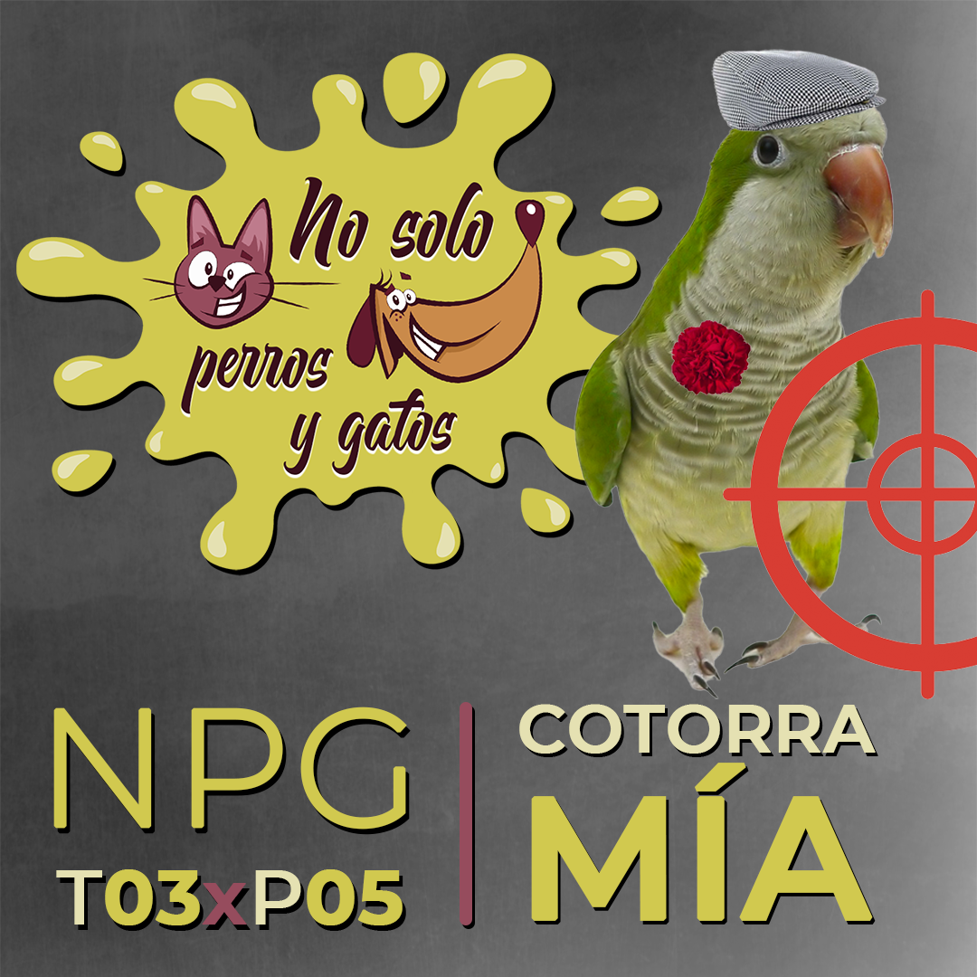 No Solo Perros y Gatos T03xE05: Cuando vengas a Madrid, cotorra mía No Solo Perros y Gatos T03xE05: Cuando vengas a Madrid, cotorra mía