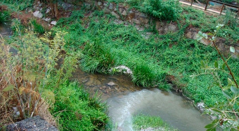 Unos análisis califica como óptimas las aguas procedente de la ciudad deportiva del Celta Unos análisis califica como óptimas las aguas procedente de la ciudad deportiva del Celta